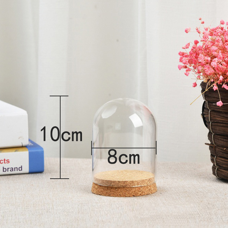 Terrarium Glass Bottle - Glass Dome Cover For Flower Succulent