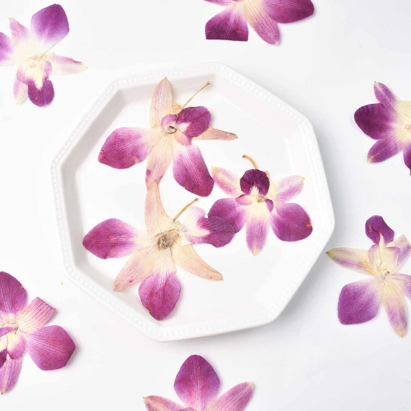 Pressed Flower Frame - 4pcs,Real Pressed Butterfly Orchid Flowers DIY