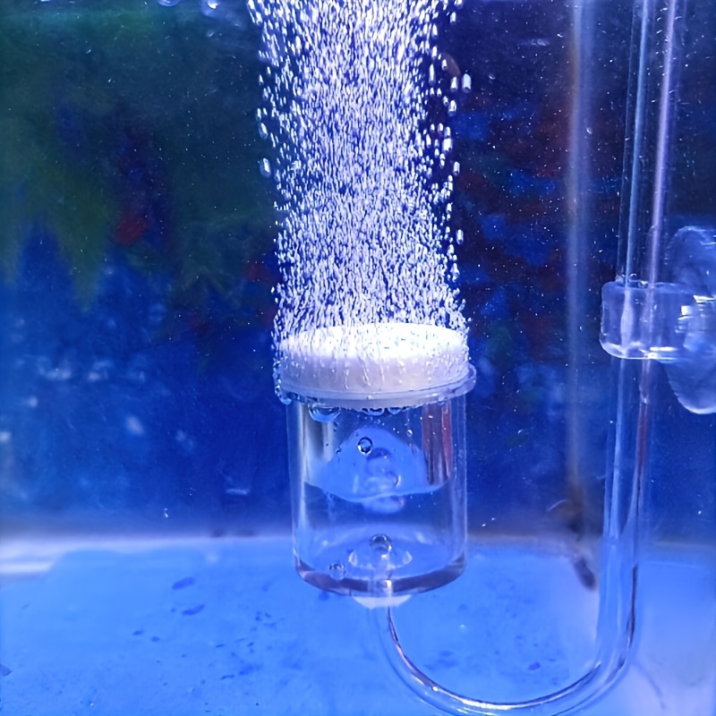 Terrarium Glass Bottle - Aquarium Glass CO2 Atomizer Diffuser Bubble