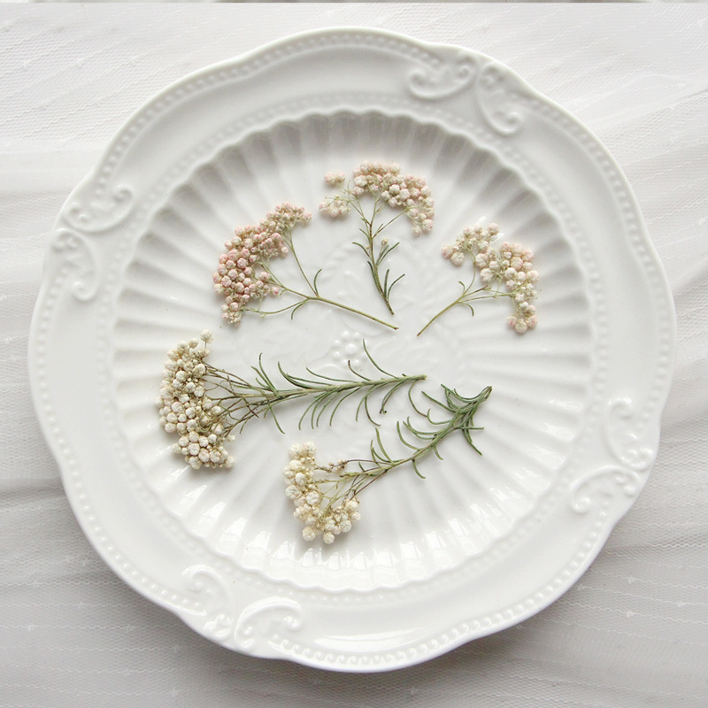Pressed Flower Frame - 12pcs, Nature Millet Flower Branches, Pressed