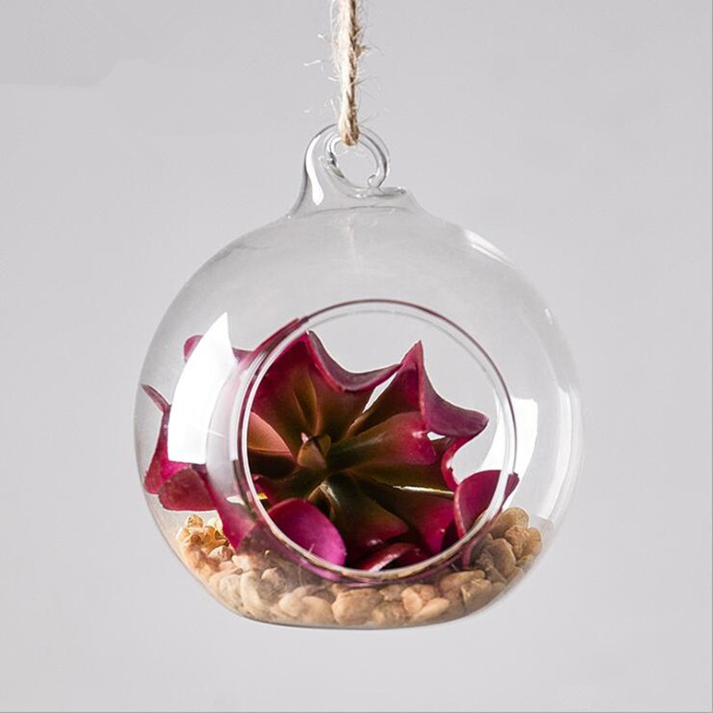 Terrarium Glass Bottle - Diameter=10cm Middle Size Hanging Glass Terrarium