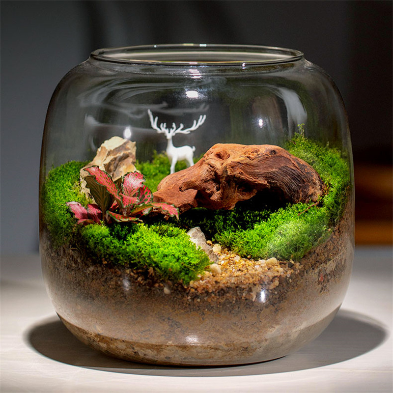 Micro Landscape Moss Glass Bot - Terrarium Glass Bottle recension och pris