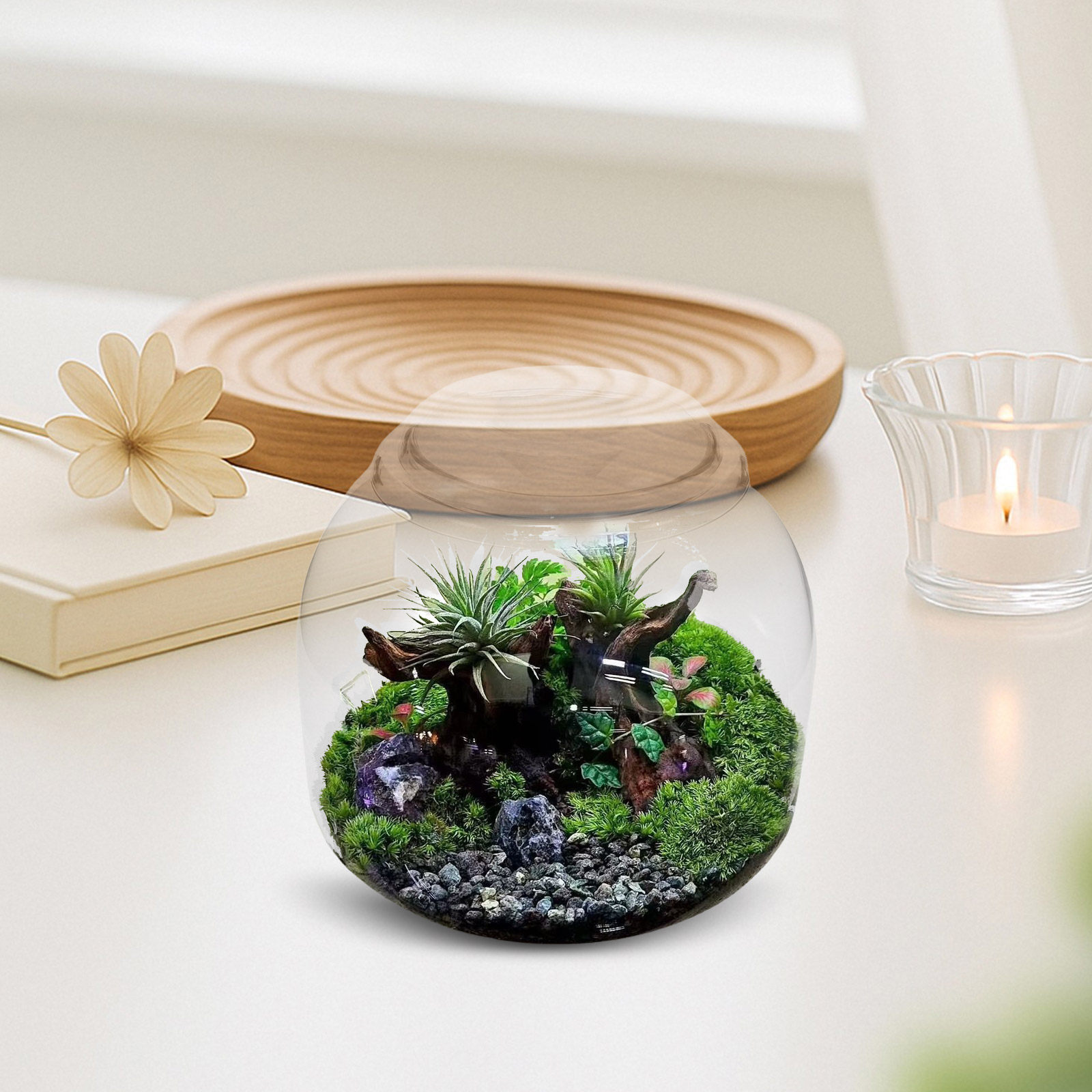 Glass Terrarium Jar with Lid T - Terrarium Glass Bottle recension och pris