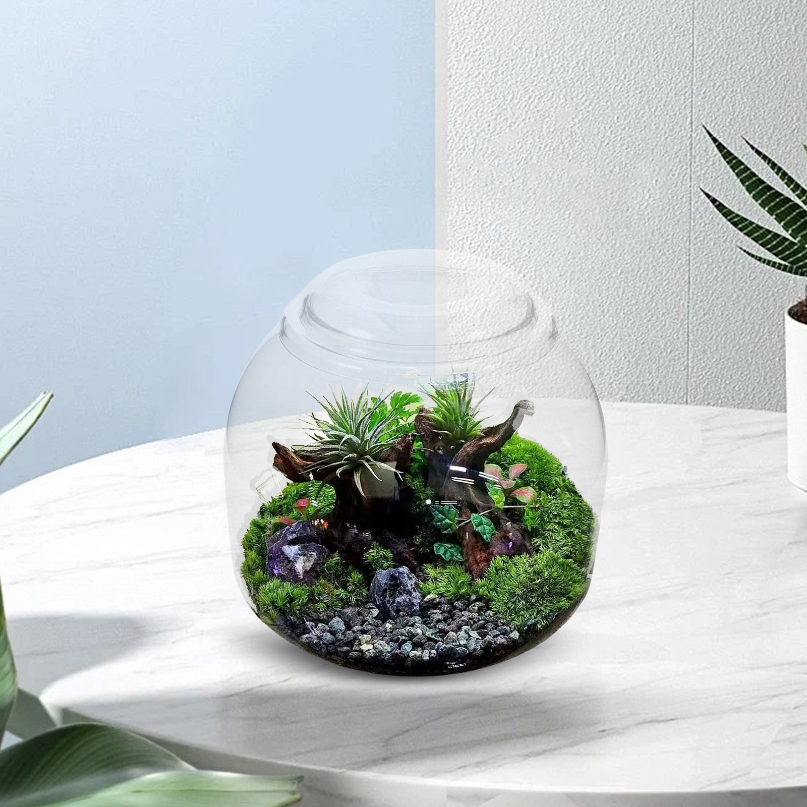 Glass Terrarium Jar with Lid T - Terrarium Glass Bottle recension och pris