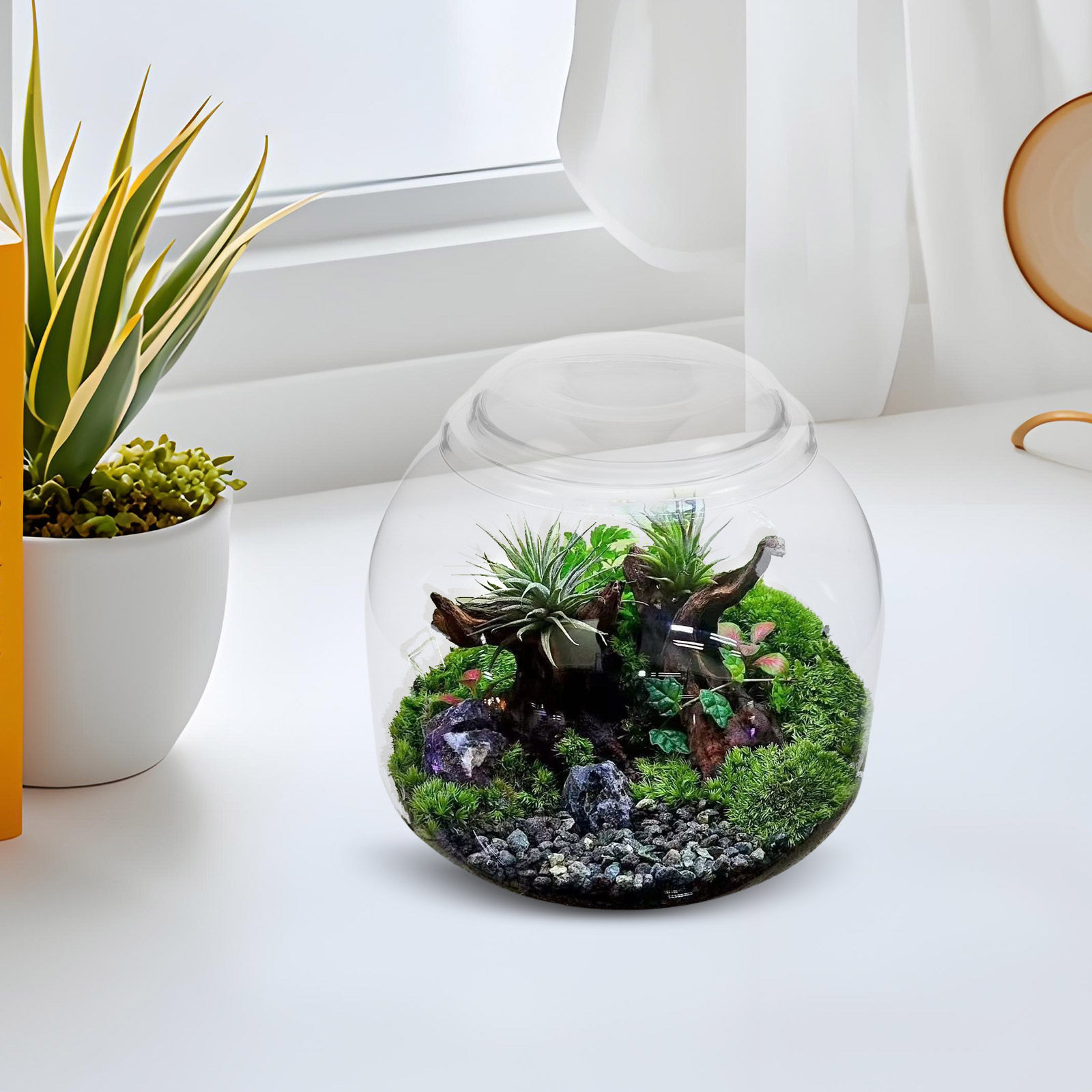 Glass Terrarium Jar with Lid T - Terrarium Glass Bottle recension och pris
