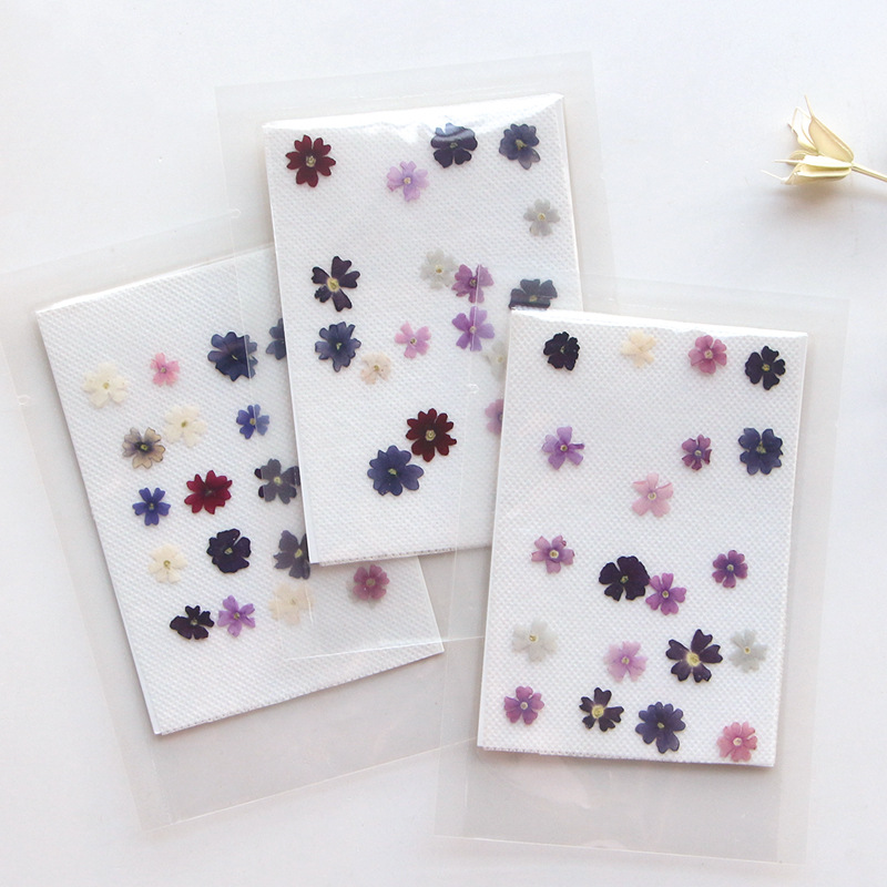 40pcs/lot,Mini Beauty Cherry p - Pressed Flower Frame recension och pris