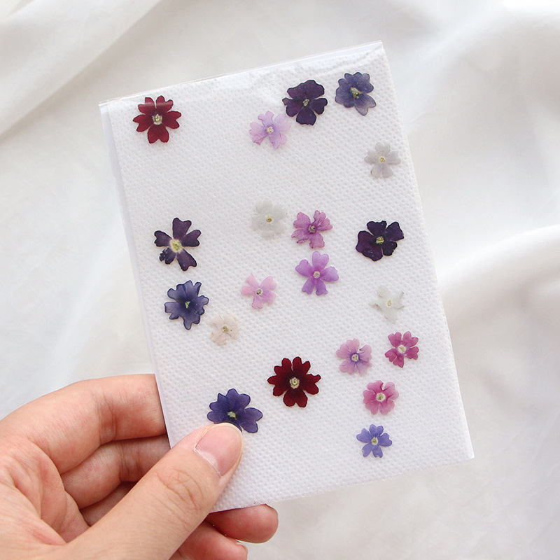 40pcs/lot,Mini Beauty Cherry p - Pressed Flower Frame recension och pris