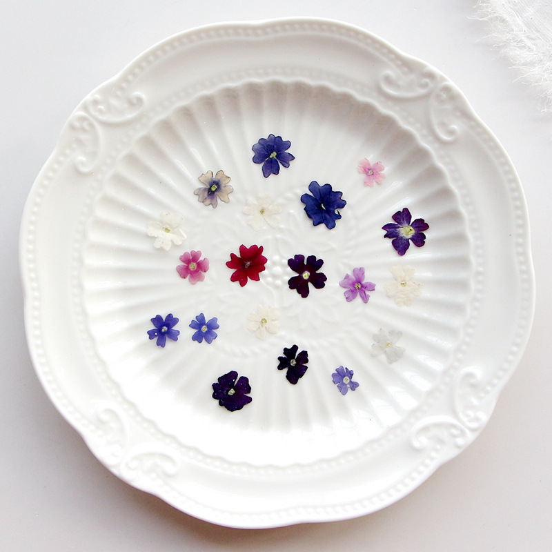 40pcs/lot,Mini Beauty Cherry p - Pressed Flower Frame recension och pris