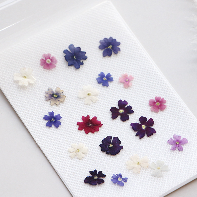 40pcs/lot,Mini Beauty Cherry p - Pressed Flower Frame recension och pris