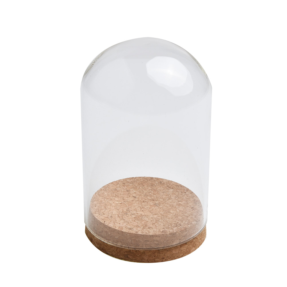 Glass Dome Cover For Flower Su - Terrarium Glass Bottle recension och pris