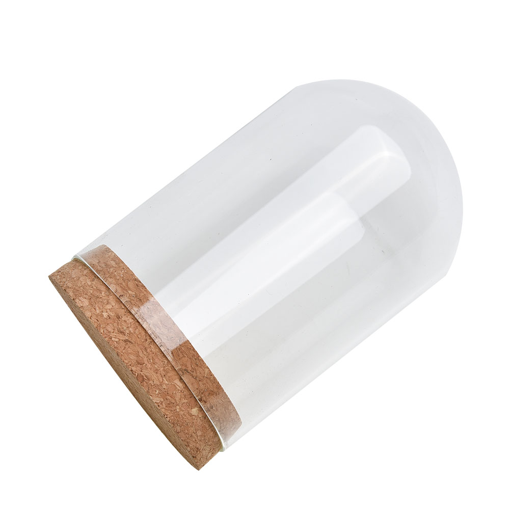 Glass Dome Cover For Flower Su - Terrarium Glass Bottle recension och pris