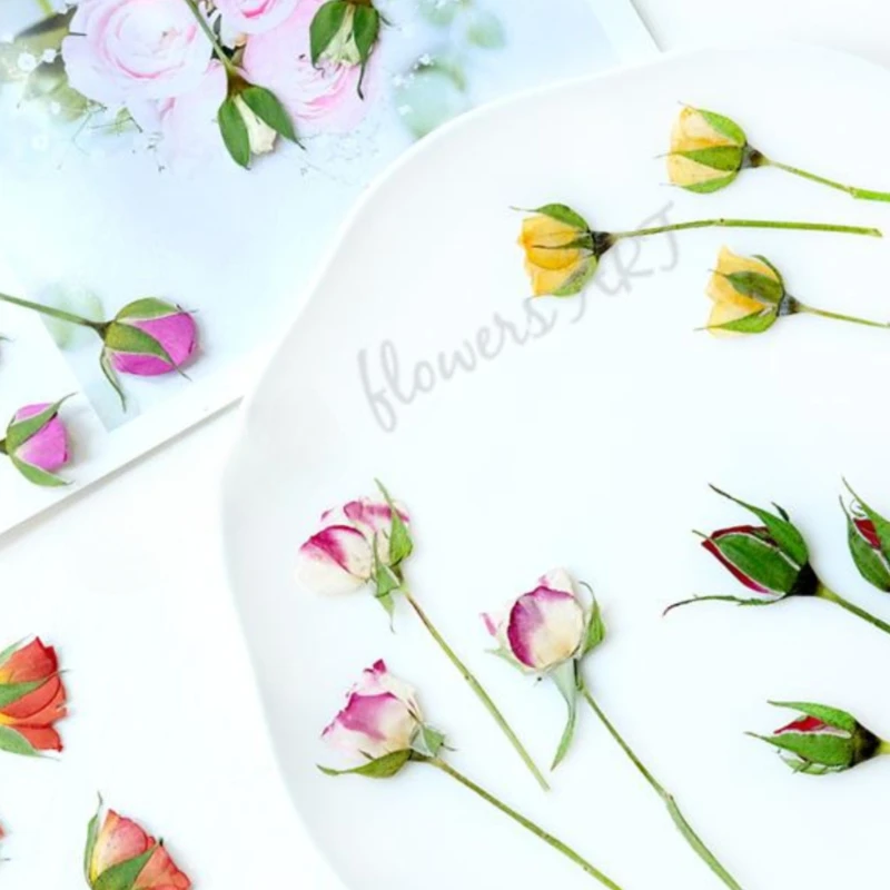Pressed Rose Bud Flower Petals - Pressed Flower Frame recension och pris
