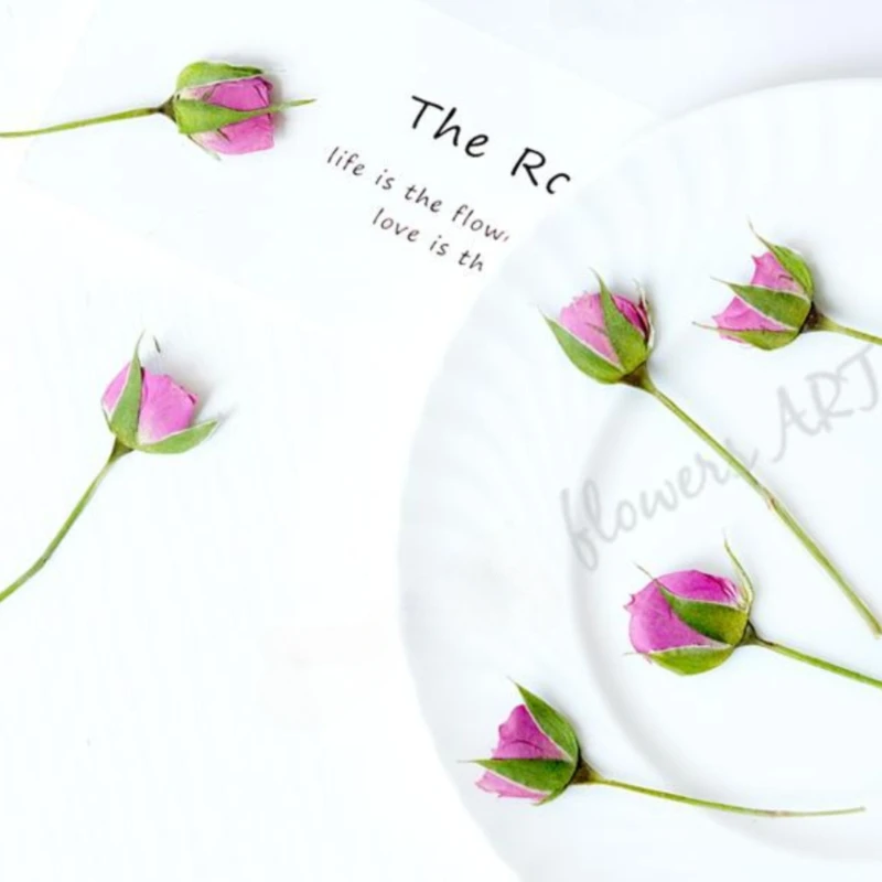 Pressed Rose Bud Flower Petals - Pressed Flower Frame recension och pris