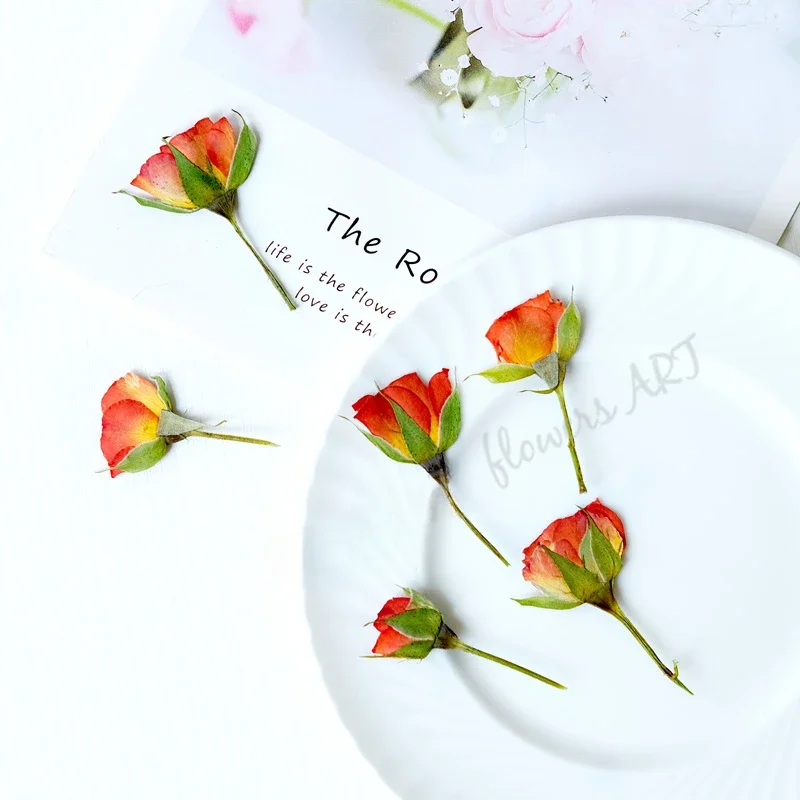 Pressed Rose Bud Flower Petals - Pressed Flower Frame recension och pris