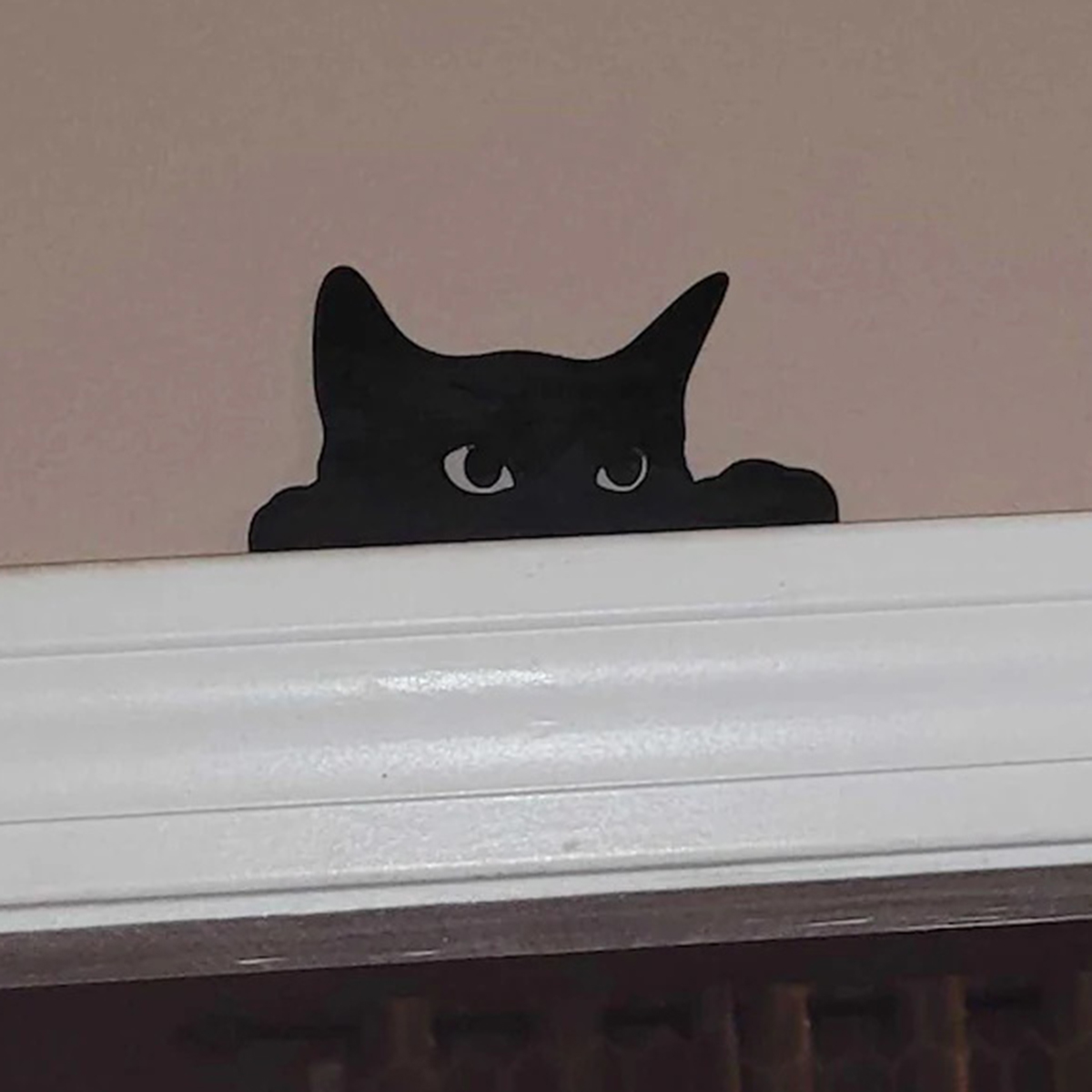 1 Pc Cat Looking Up Door Toppe - Home Decor Kolkata recension och pris
