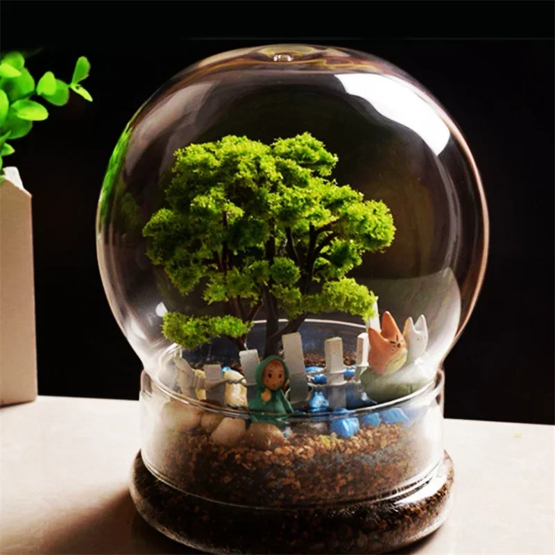 New 2in1 Spherical Terrarium G - Terrarium Glass Bottle recension och pris