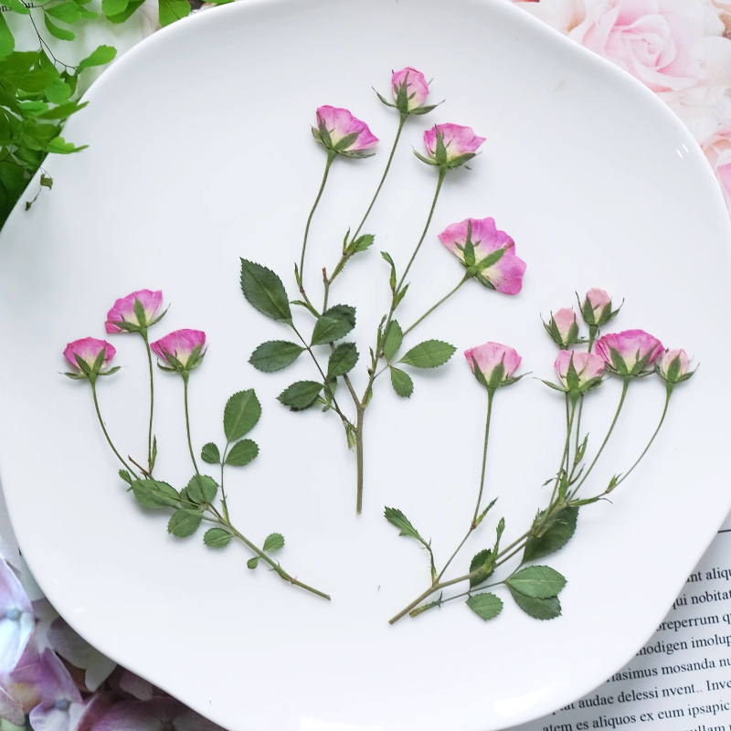 12pcs,Mini Pink Rose Pressed F - Pressed Flower Frame recension och pris