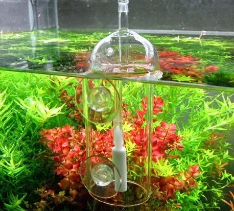 VIV Do Device Aquarium Cylinde - Terrarium Glass Bottle recension och pris
