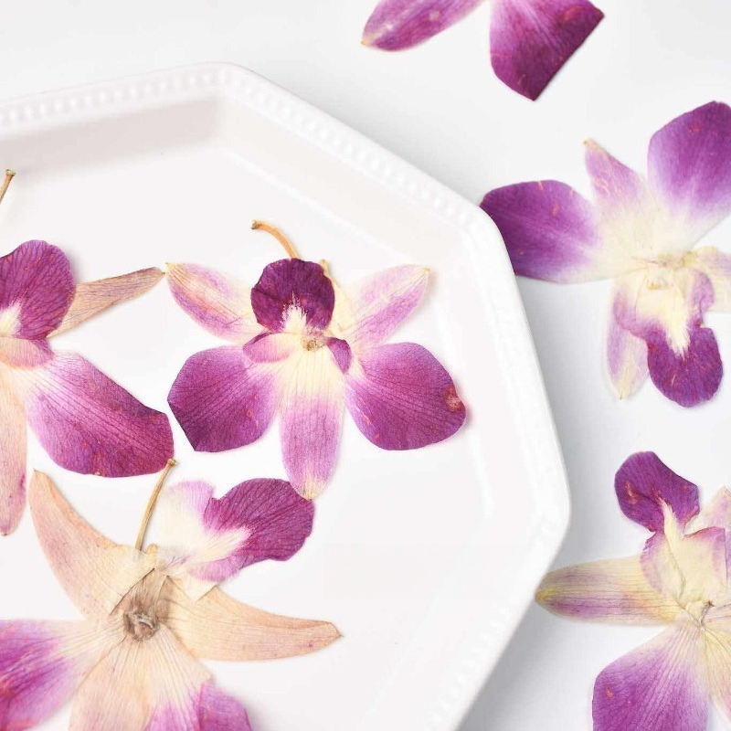 4pcs,Real Pressed Butterfly Or - Pressed Flower Frame recension och pris