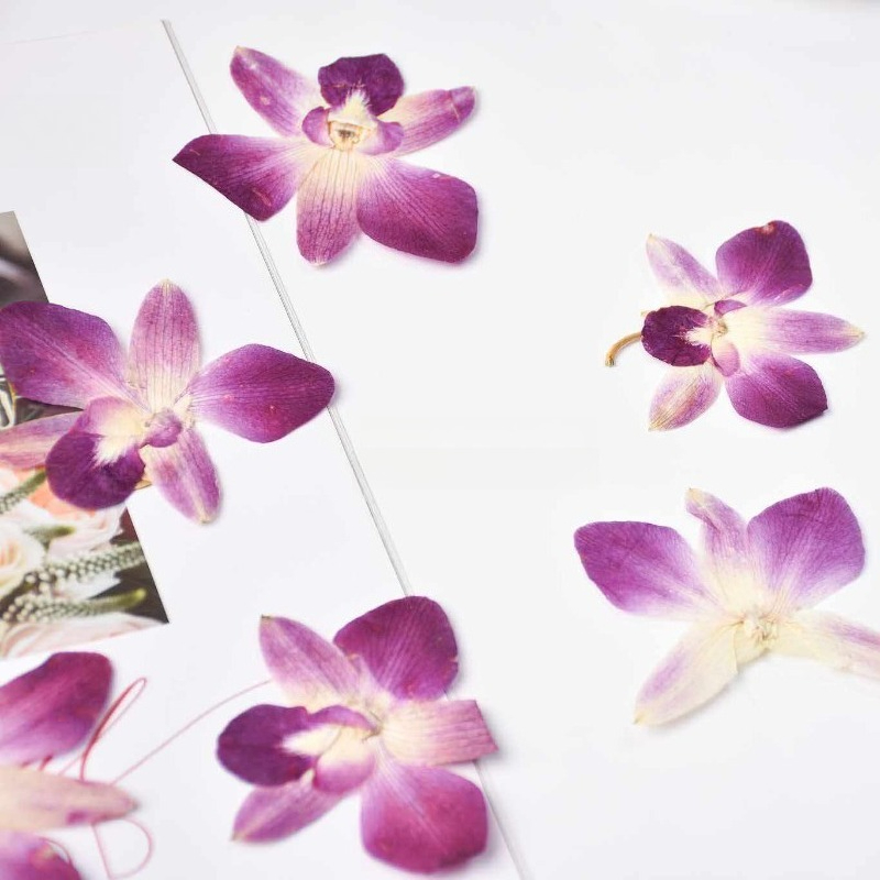 4pcs,Real Pressed Butterfly Or - Pressed Flower Frame recension och pris