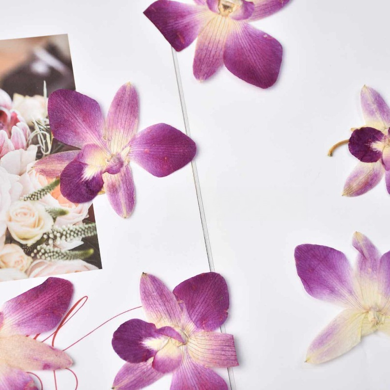4pcs,Real Pressed Butterfly Or - Pressed Flower Frame recension och pris