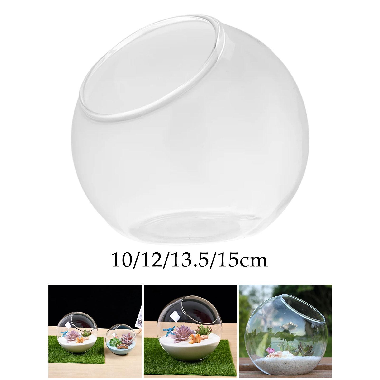 Terrarium Glass Vase Unique Ce - Terrarium Glass Bottle recension och pris