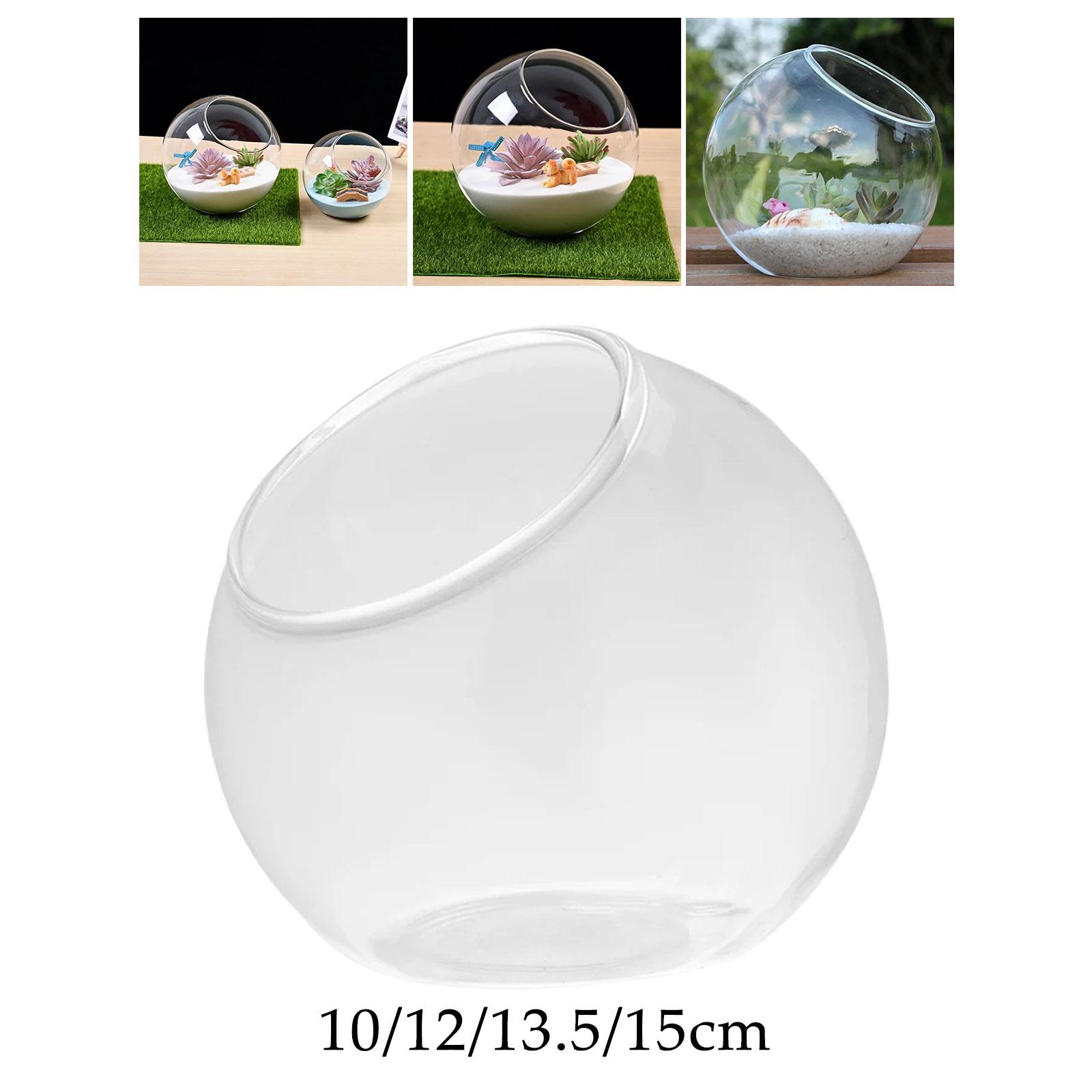 Terrarium Glass Vase Unique Ce - Terrarium Glass Bottle recension och pris