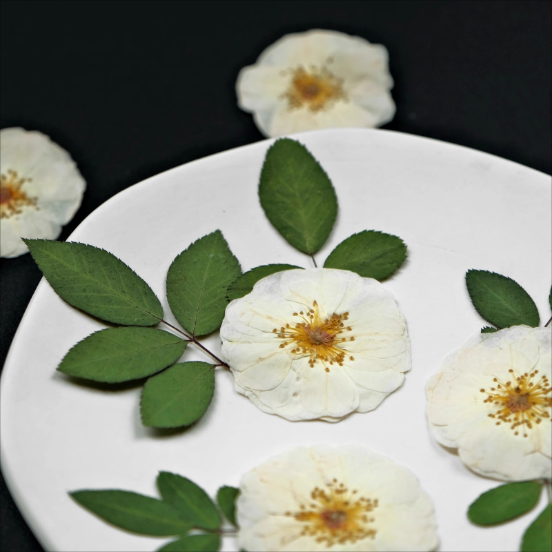 6pcs,9pcs,Nature White Rose Pr - Pressed Flower Frame recension och pris
