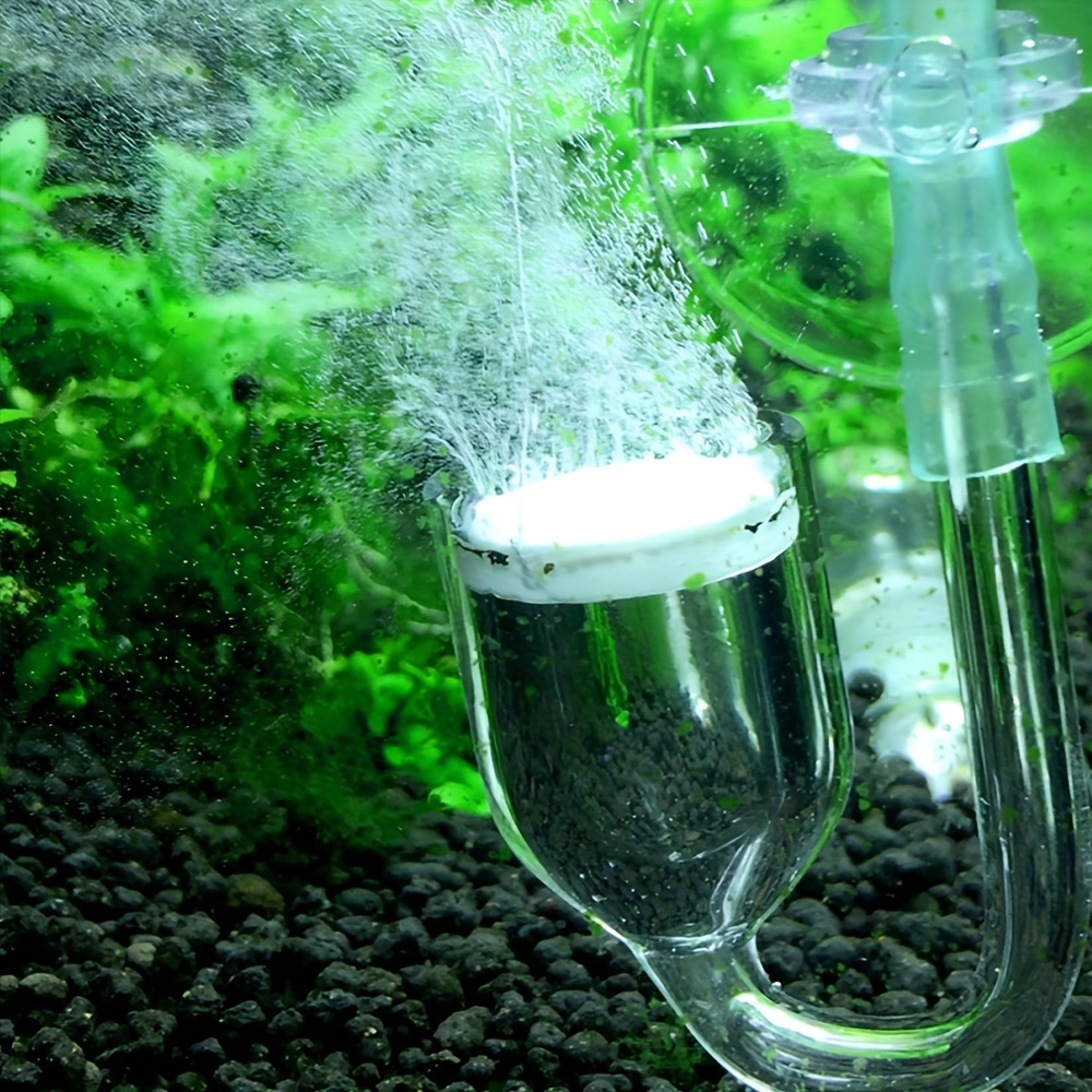 Aquarium Glass CO2 Atomizer Di - Terrarium Glass Bottle recension och pris