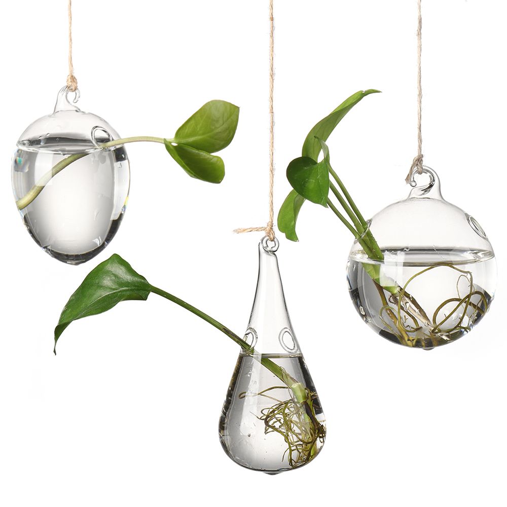 Creative Hanging Glass Vase Hy - Terrarium Glass Bottle recension och pris