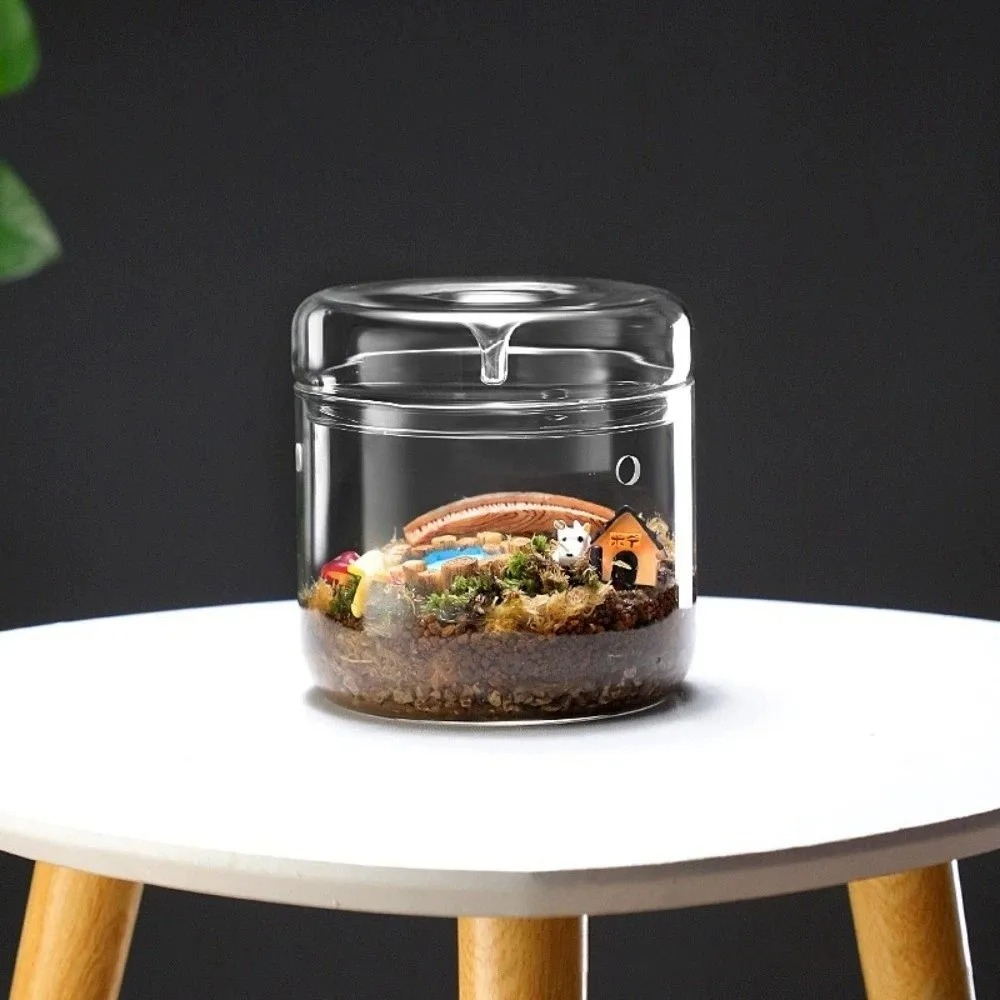 Micro Landscape Glass Vase wit - Terrarium Glass Bottle recension och pris