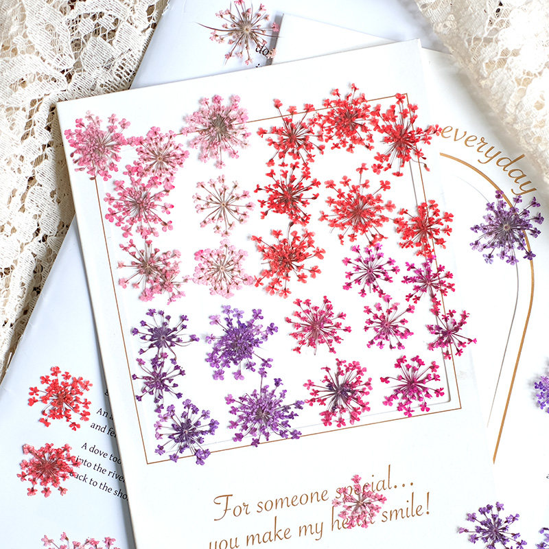 24pcs, 2-2.5cm, Nature Dyed Mi - Pressed Flower Frame recension och pris