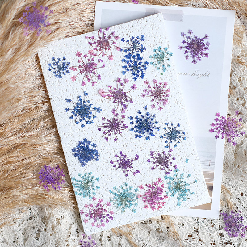 24pcs, 2-2.5cm, Nature Dyed Mi - Pressed Flower Frame recension och pris