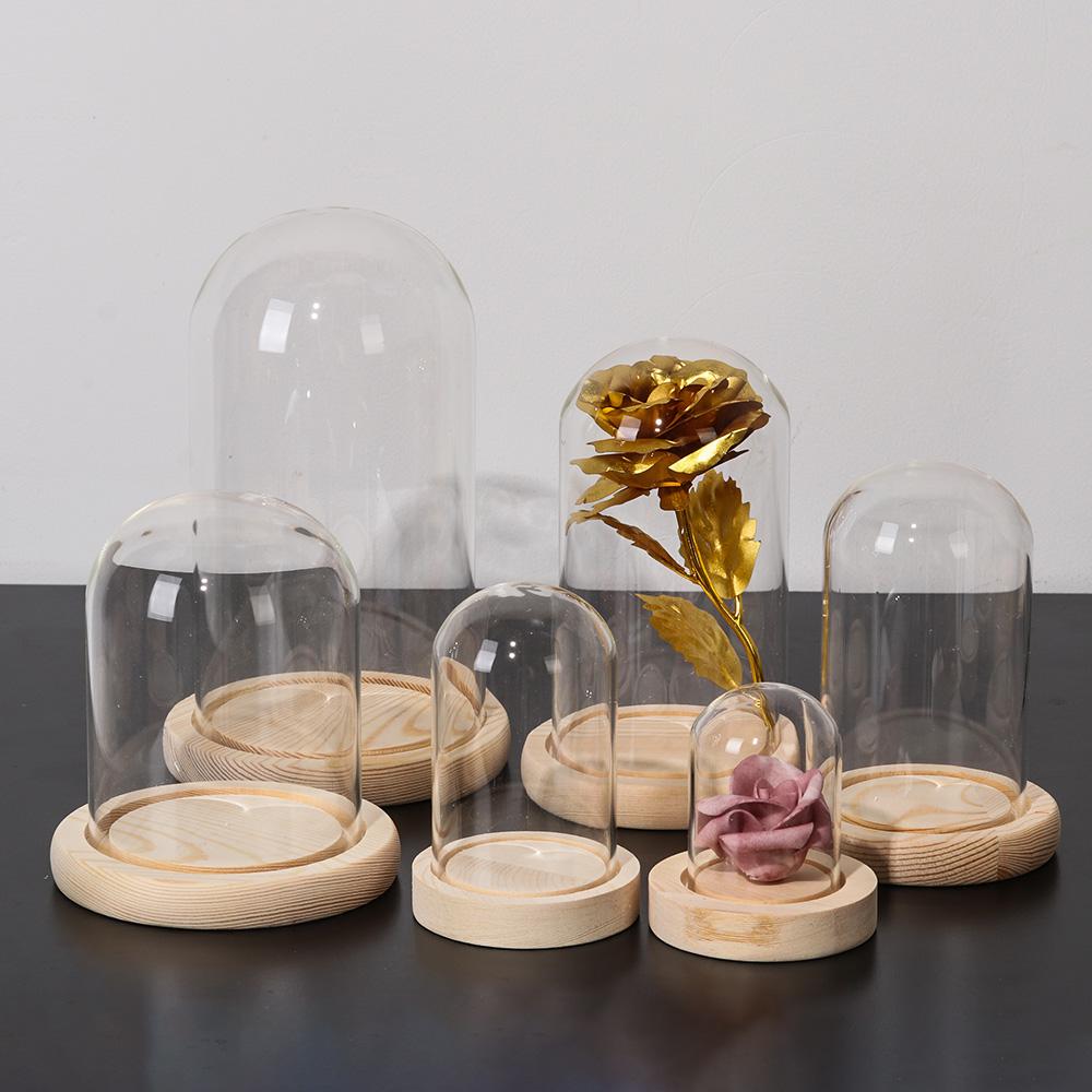 Glass Cloche Jar Display Stand - Terrarium Glass Bottle recension och pris