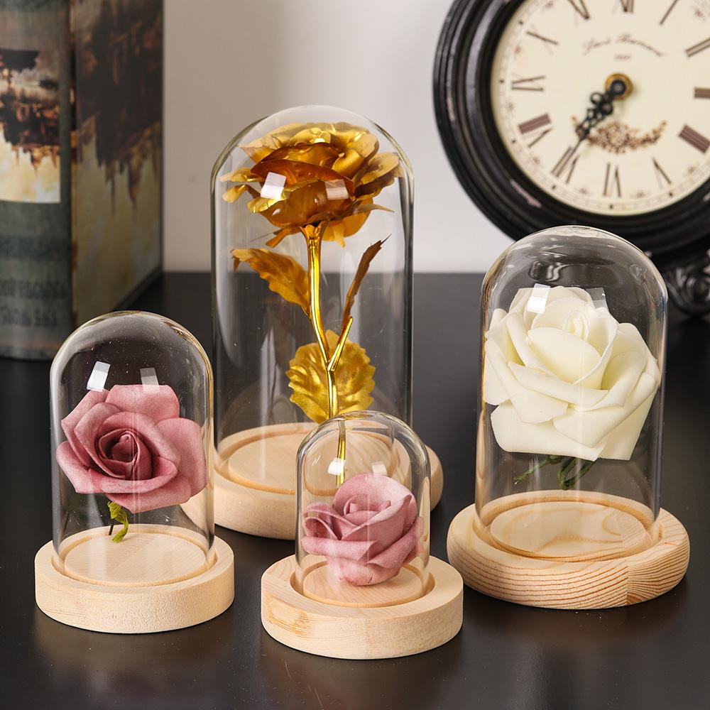 Glass Cloche Jar Display Stand - Terrarium Glass Bottle recension och pris