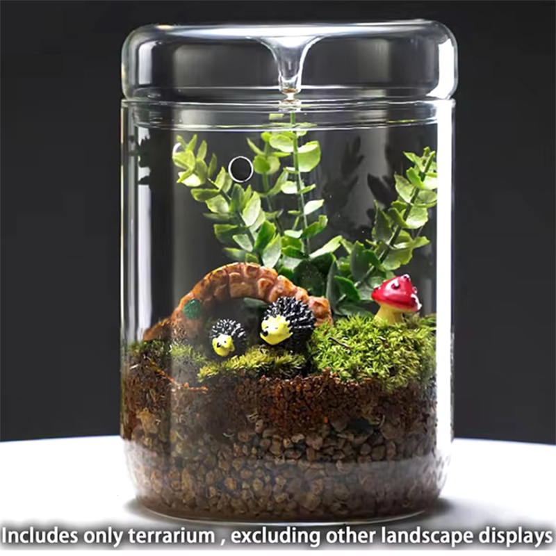 Glass Bottles Creativity Dew C - Terrarium Glass Bottle recension och pris