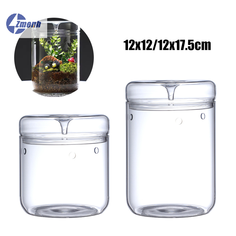 New！Micro Landscape Glass Bott - Terrarium Glass Bottle recension och pris