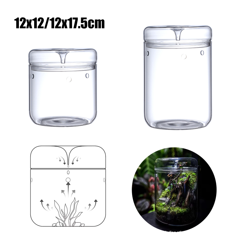 New！Micro Landscape Glass Bott - Terrarium Glass Bottle recension och pris
