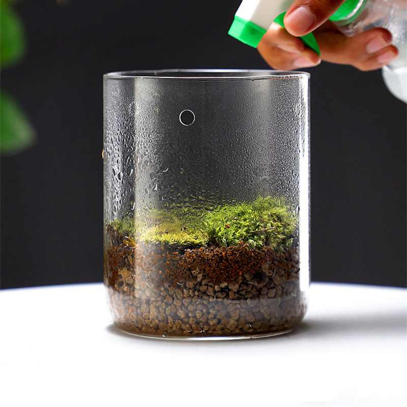 New！Micro Landscape Glass Bott - Terrarium Glass Bottle recension och pris