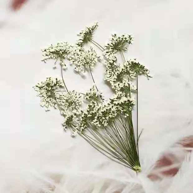 5-7cm/12pcs,Snow Tiny Flowers  - Pressed Flower Frame recension och pris