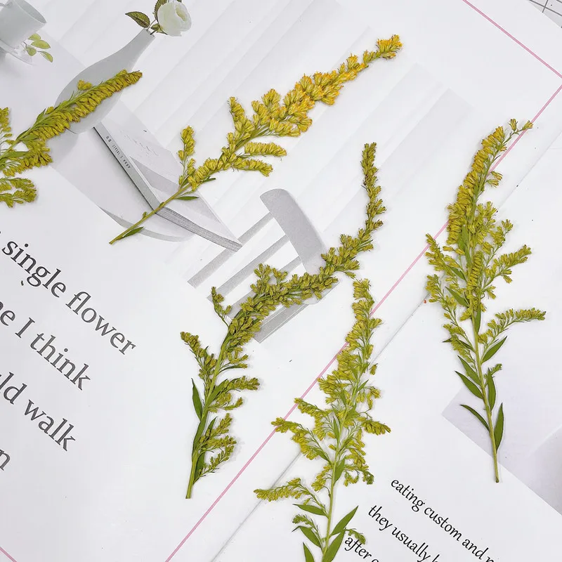 6-10cm/24pcs,natural pressed f - Pressed Flower Frame recension och pris
