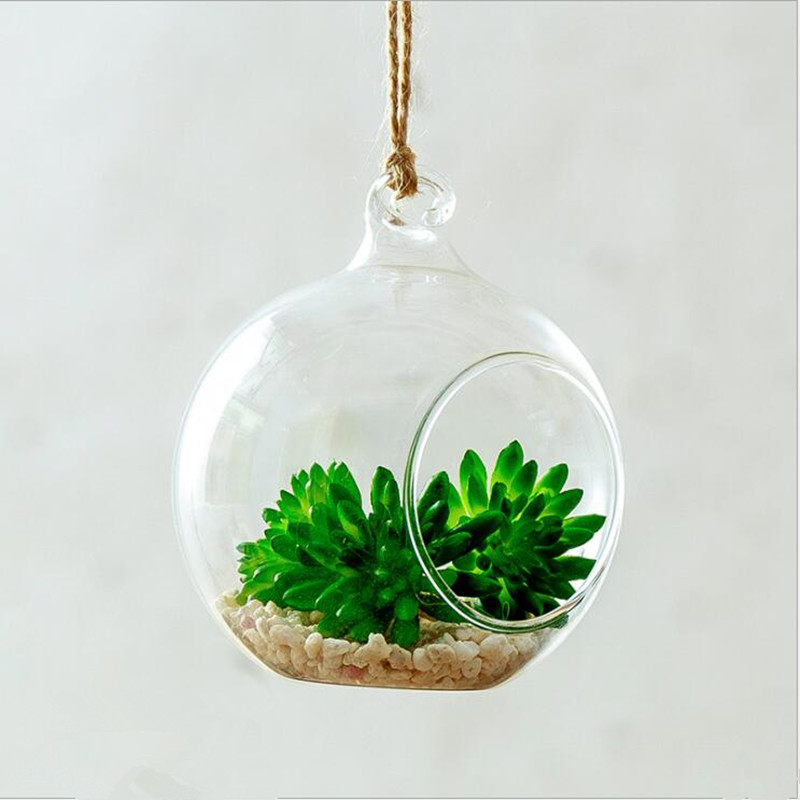 Diameter=10cm Middle Size Hang - Terrarium Glass Bottle recension och pris