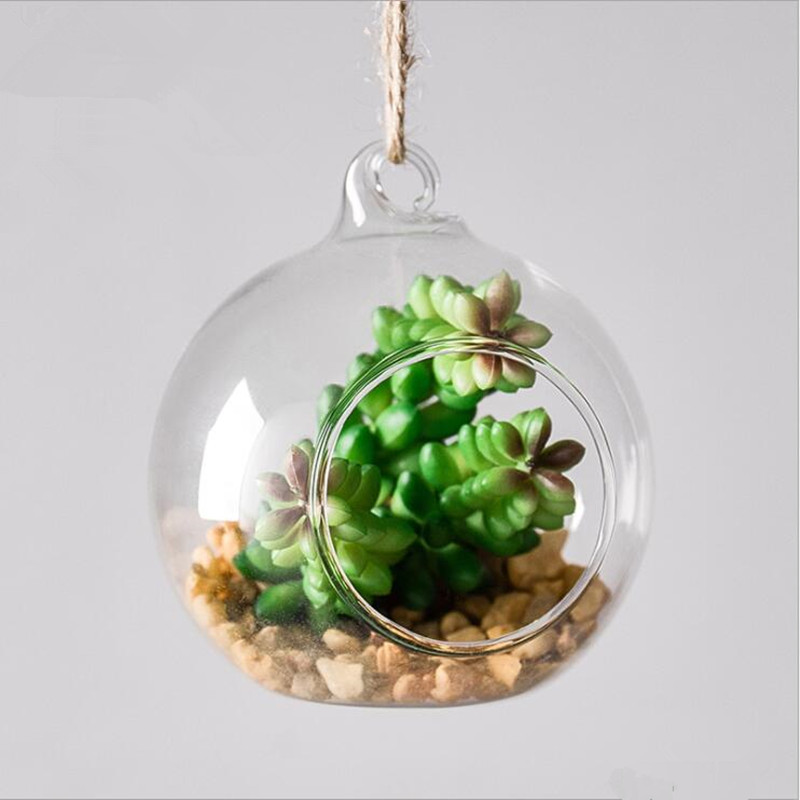 Diameter=10cm Middle Size Hang - Terrarium Glass Bottle recension och pris