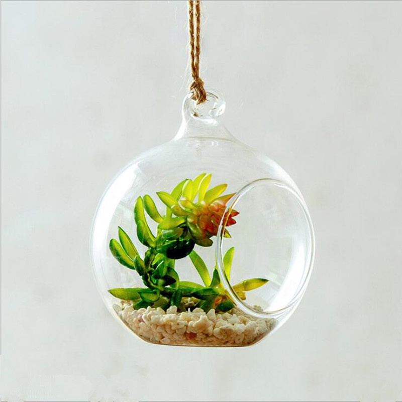 Diameter=10cm Middle Size Hang - Terrarium Glass Bottle recension och pris
