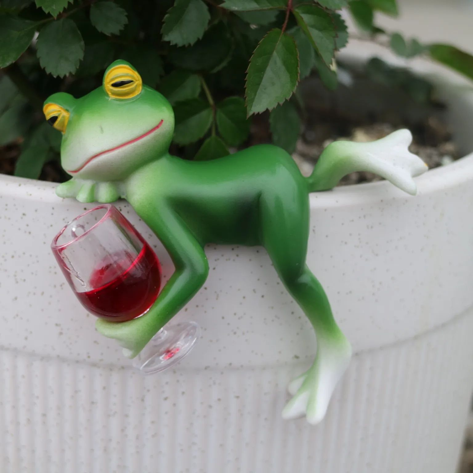A delightful green frog and wi - Terrarium Glass Bottle recension och pris
